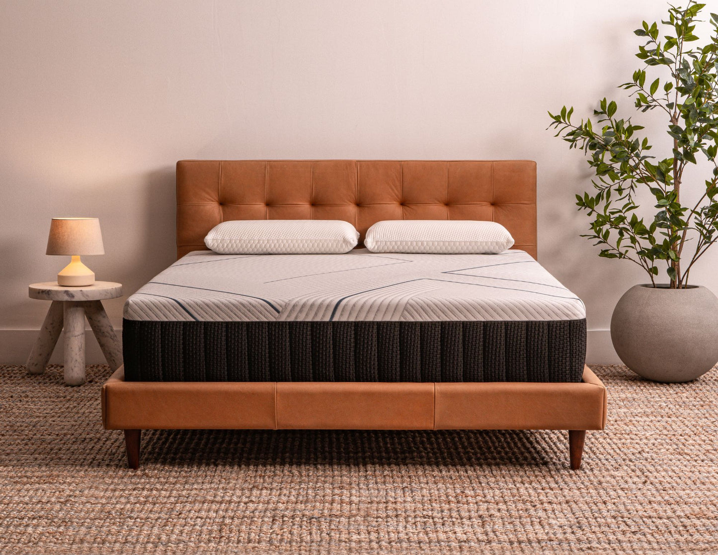 The Alpha Bed - Plus