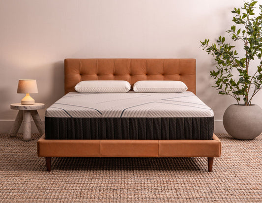 The Alpha Bed - Plus